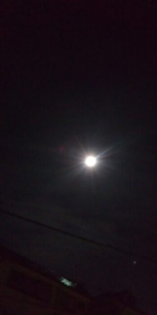 結果的には±０なのかな？