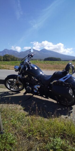 本当のところって？